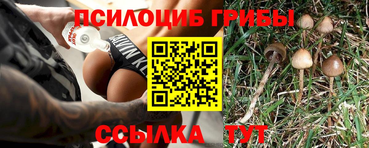 наркошоп  Псилоцибиновые грибы Magic Shrooms  Вход с VPN  Тольятти 